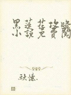 黑莲花攻略手册小说免费阅读