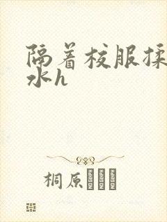 隔着校服揉h奶水h