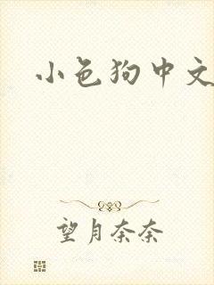小色狗中文网封面