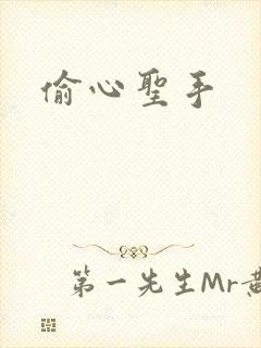 偷心圣手