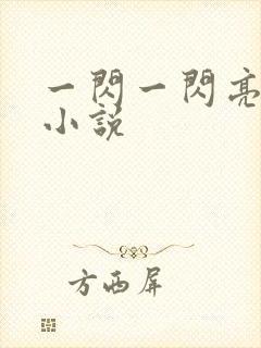 一闪一闪亮星星小说