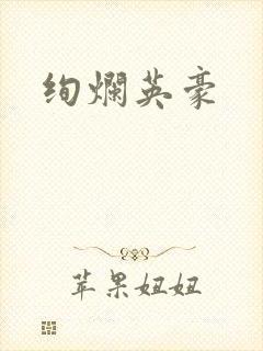 绚烂英豪封面