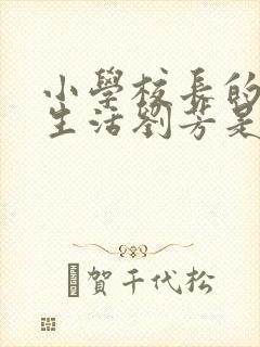 小学校长的幸福生活刘芳是谁封面