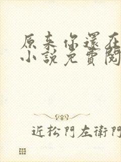 原来你还在这里小说免费阅读