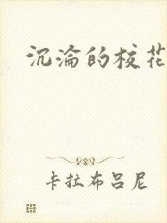 沉沦的校花
