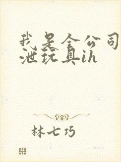 我是全公司的发泄玩具ih封面