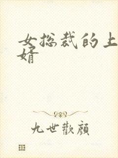 女总裁的上门女婿