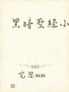 黑暗圣经小说
