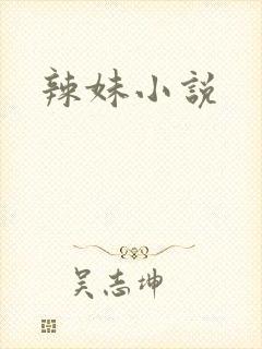 辣妹小说封面