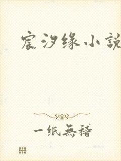 宸汐缘小说