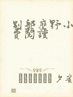 别那么野小说免费阅读封面