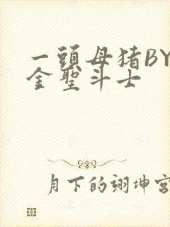 一头母猪BY黄金圣斗士