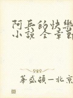 阿兵的快乐生活小说 全章节阅读免费