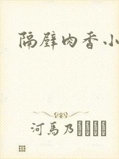 隔壁肉香小说封面