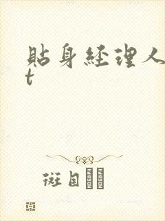 贴身经理人txt