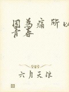 因为痛 所以叫青春