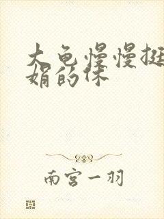 大龟慢慢挺进张娟的休