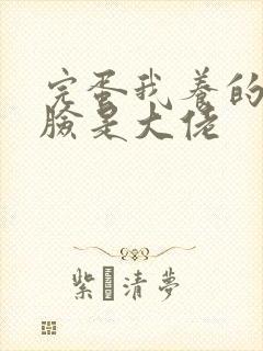 完蛋我养的小白脸是大佬