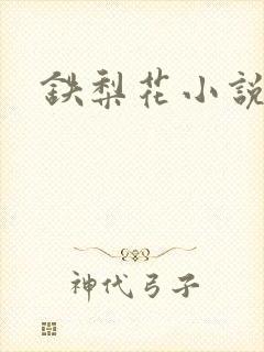 铁梨花小说