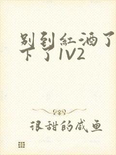 别到红酒了装不下了1V2
