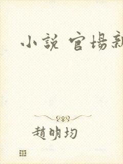 小说 官场新贵封面