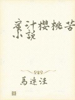 蜜汁樱桃苦咖啡小说