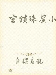 宫锁珠帘小说