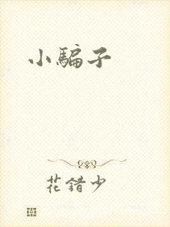 小骗子