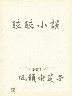 皎皎小说封面