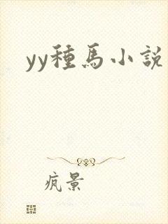 yy种马小说