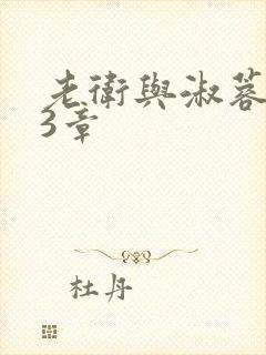 老卫与淑蓉第13章