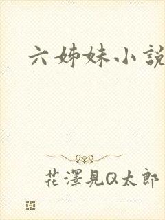 六姊妹小说封面