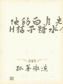 他的白月光HVH桔子糖水全文