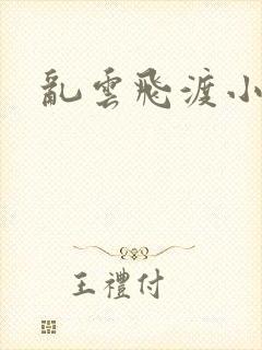 乱云飞渡小说