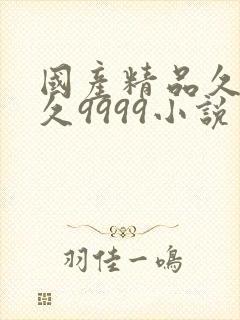 国产精品久久久久9999小说
