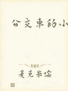 公交车的小说