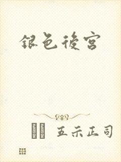 银色后宫