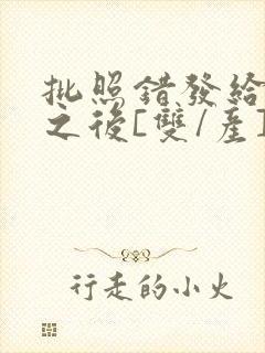 批照错发给情敌之后[双/产]封面
