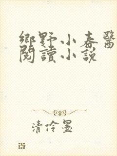 乡野小春医免费阅读小说封面