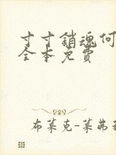 寸寸销魂何生祥全本免费
