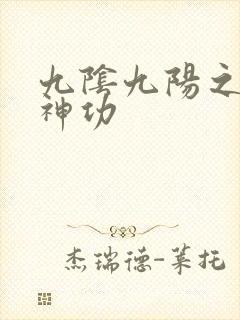 九阴九阳之阴阳神功封面