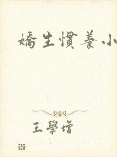娇生惯养小说