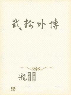 武松外传封面
