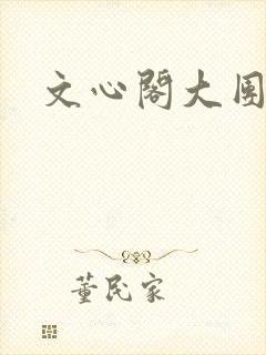 文心阁大团结封面