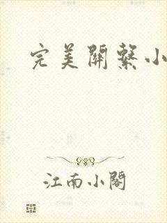 完美关系小说