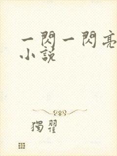 一闪一闪亮星星小说