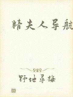 精夫人导航