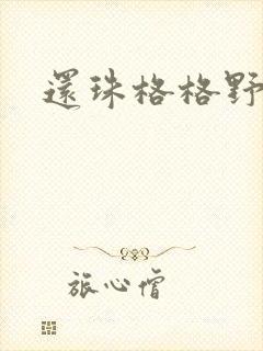 还珠格格野传封面