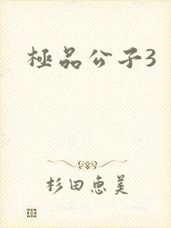 极品公子3