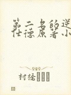 第二名的逆袭高仕德原著小说